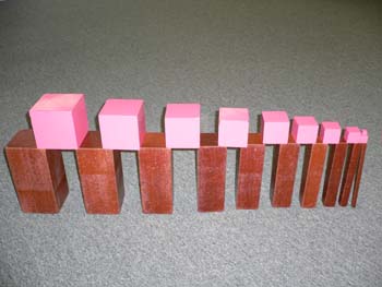 Stair_Dino___SP__TC______side_view_